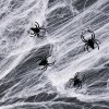 Pavučina a pavúk - bielys - 4-5 m²