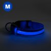 LED obojok - s akumulátorom - veľkosť M - modrá