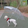 Dáždnik pre psa s vodítkom