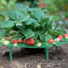 Záhradný stojan na jahody
