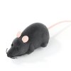 Hračka pre mačky myš na diaľkové ovládanie Sivá s ružovými ušami