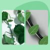Samolepiaca spona na upevnenie popínavých rastlín v tvare listu (10 ks)