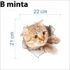 3D Mačka Nálepka - Vzor B