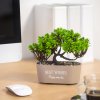 Umelá rastlina - bonsai - 19 x 13 cm - 4 druhy