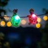 Solárna dekorácia so štipcom - korytnačka, včielka, slimák, lienka - 10 x 6 x 14 cm - biela LED