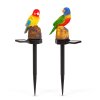 Zapichovacia solárna dekorácia - papagáj - 1 teplá biela LED - 8 x 60 x 41 cm