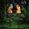 Zapichovacia solárna dekorácia - papagáj - 1 teplá biela LED - 8 x 60 x 41 cm