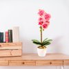 Umelá rastlina dekorácia - orchidea - ružová - 48 cm