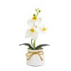 Múrn plant decoration - orchidea - biela - 20 x 9 cm