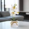 Múrn plant decoration - orchidea - biela - 20 x 9 cm