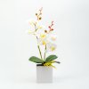 Umelá rastlina dekorácia – orchidea – 3 druhy – 37 cm