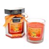 Vonná sviečka - pomaranč  &amp;amp; zázvor - 120 g