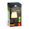 Solárna stolová lampa – biela – teplá biela LED – plast – 23 x 12 cm