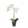 Umelá rastlinná dekorácia - orchidea - 2 druhy - 54 cm