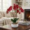 Umelá rastlinná dekorácia - orchidea - 5 druhov - 56 cm