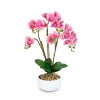 Umelá rastlinná dekorácia - orchidea - 5 druhov - 56 cm