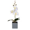 Umelá rastlinná dekorácia - orchidea - 3 druhy - 29,5 cm