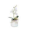 Umelá rastlinná dekorácia - orchidea - 3 druhy - 32,5 cm