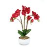 Umelá rastlinná dekorácia - orchidea - 5 druhov - 56 cm