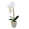 Umelá rastlinná dekorácia - orchidea - 3 druhy - 45 cm