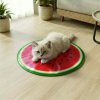 Chladiaca podložka pre domáce zvieratá – kivi, pomaranč, melón – 50 cm