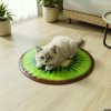 Chladiaca podložka pre domáce zvieratá – kivi, pomaranč, melón – 50 cm