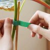 5 m-es kotúč prémiového opakovane použiteľného nylonového rastlinného viazacieho prvku