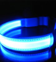 LED obojok Modrý L