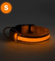 LED obojok - s akumulátorom -  veľkosť S - oranžová