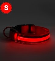 LED obojok - s akumulátorom - veľkosť S - červená