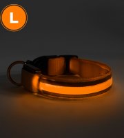 LED obojok - s akumulátorom - veľkosť L - oranžová