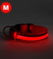 LED obojok - s akumulátorom - veľkosť M - červená