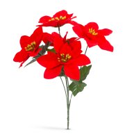 Vianočný mikulášsky kvet - červený