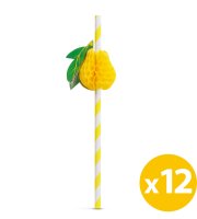 Papierová slamka - 3D ovocie - 197 x 6 mm - 12 ks / balenie