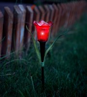 LED solárna lampa tulipán - žltý/červený/ružový - 31 cm - 12 ks / krabica