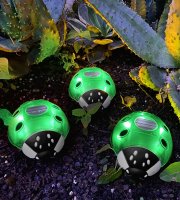 Solárna lienka - zelená - 14,5 x 12 x 6 cm - 6 teplých bielych LED