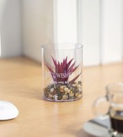 Umelá rastlina - v pohári - 8 x 10 cm - 3 druhy 