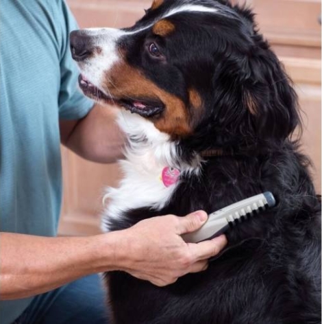 Hrebeň a prístroj na odstraňovanie chĺpkov pre domáce zvieratá