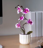 Umelá rastlina - orchidea - 11 x 35 cm - 3 druhy 