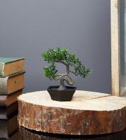 Umelá rastlina - bonsai - 10 x 13 cm 