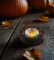 Halloweenske LED náladové osvetlenie - 3 LED - 3 x AAA - čierne, tekvica