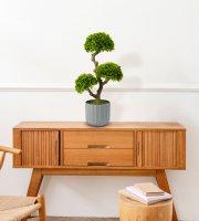 Műnövény dekoráció - bonsai - 55 x 27 cm