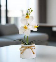 Múrn plant decoration - orchidea - biela - 20 x 9 cm