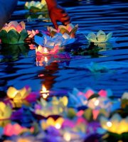 Obrovské solárne lekno