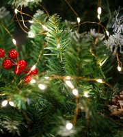 Svetelná reťaz – teplá biela – 100 x microLED – 10 m – 2 x AA