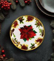 Vianočný tanier – plastový – vianočná hviezda – 22 cm