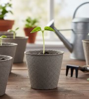 Kvetináč na pestovanie priesad - Ø8 cm - okrúhly, papier - 10 ks / balenie