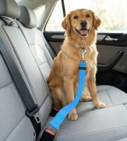 Autopopruh k bezpečnostnému pásu – 45–70 cm, 3 farby