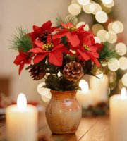 Dekorácia poinsettia – s 3 kvetmi a šiškou – tmavočervená – 34 cm